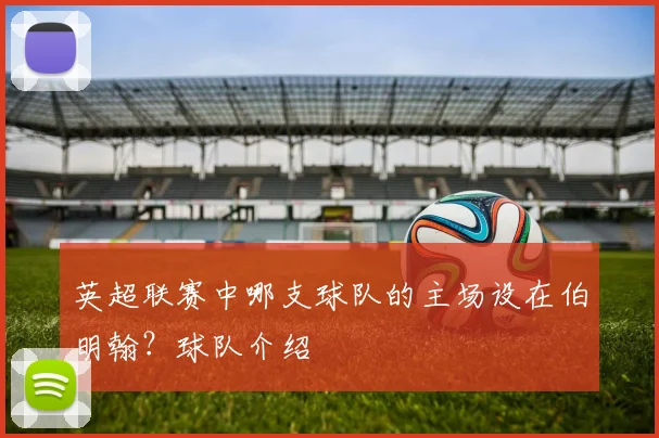 英超联赛中哪支球队的主场设在伯明翰？球队介绍